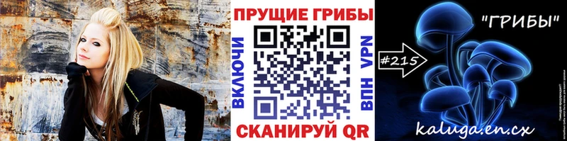 Псилоцибиновые грибы GOLDEN TEACHER даркнет сайт Закаменск